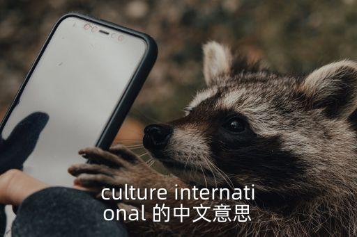 culture international 的中文意思