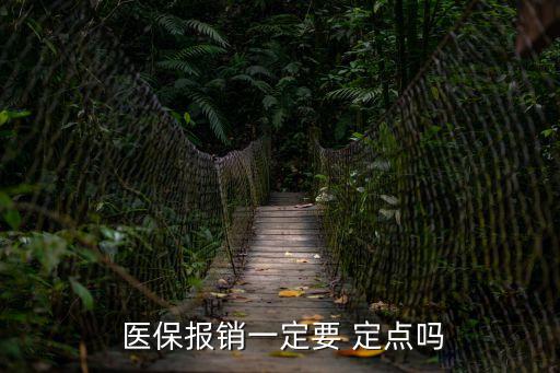  醫保報銷一定要 定點嗎