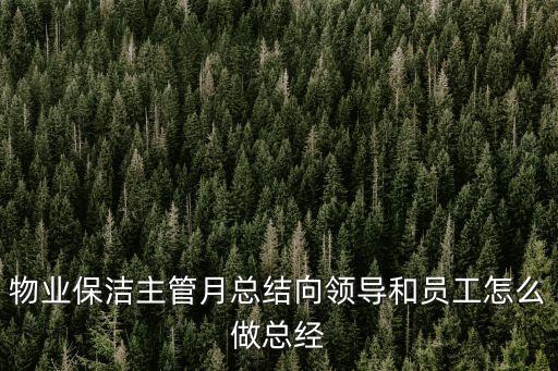 物業保潔主管月總結向領導和員工怎么做總經