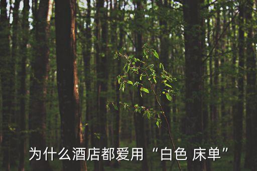 為什么酒店都愛用“白色 床單”