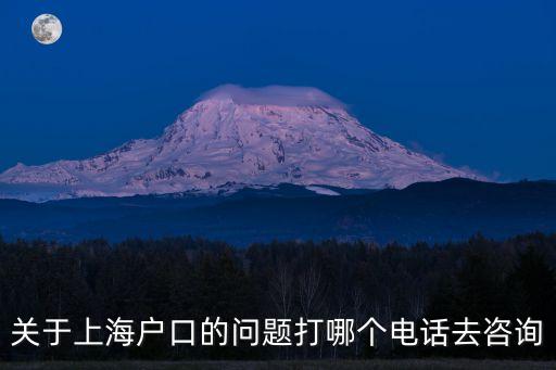關于上海戶口的問題打哪個電話去咨詢