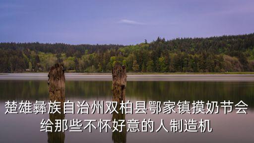 楚雄彝族自治州雙柏縣鄂家鎮摸奶節會給那些不懷好意的人制造機