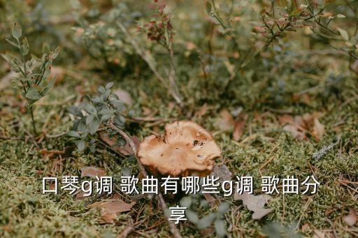 口琴歌曲,口琴也能奏出好聽的歌曲