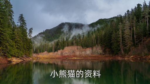 可愛小熊貓,我國國寶大熊貓睡姿萌寵惹人憐