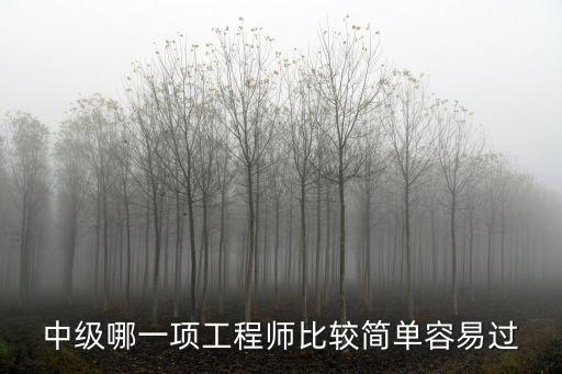 中級哪一項工程師比較簡單容易過