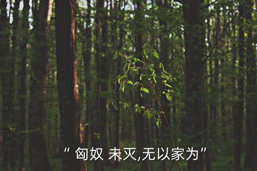 匈奴未滅,匈奴未滅，家為什么是霍去病的說辭