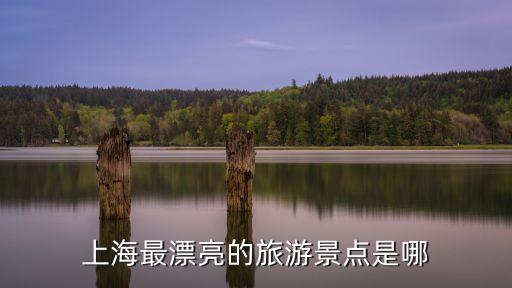 上海最漂亮的旅游景點是哪