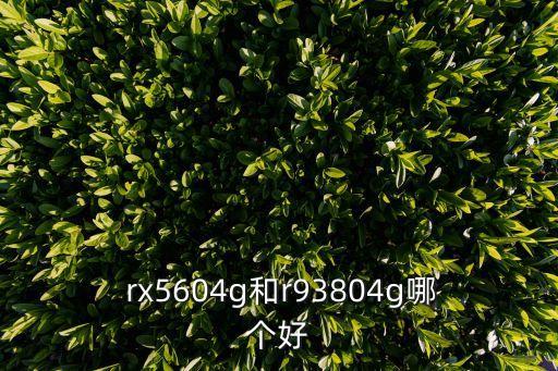  rx5604g和r93804g哪個好