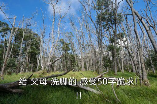 給 父母 洗腳的 感受50字跪求!!!