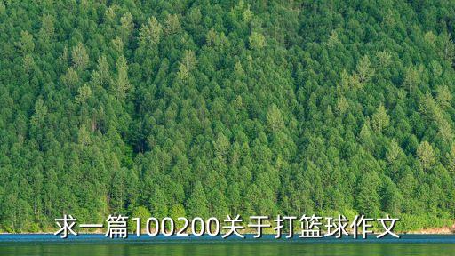 求一篇100200關(guān)于打籃球作文