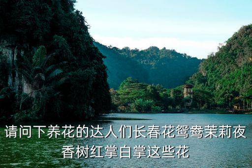 tpor原則，服飾穿戴為什么要遵循TPOR的原則