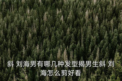 斜 劉海男有哪幾種發型揭男生斜 劉海怎么剪好看