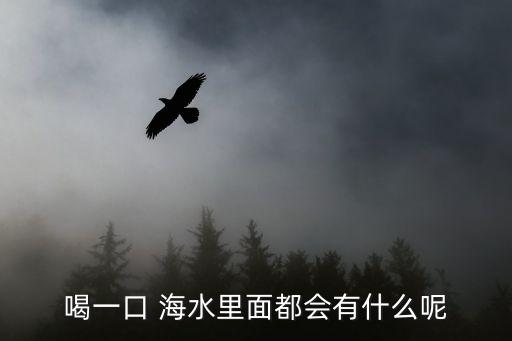 喝一口 海水里面都會有什么呢