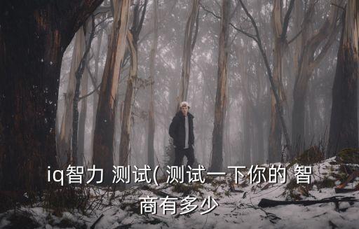 iq智力 測試( 測試一下你的 智商有多少