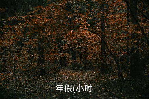 年假(小時