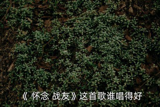 《 懷念 戰(zhàn)友》這首歌誰唱得好