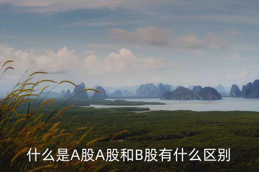 a股和b股的區別是什么，A股和B股有什么區別呀