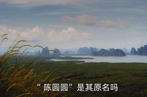 “ 陳圓圓”是其原名嗎