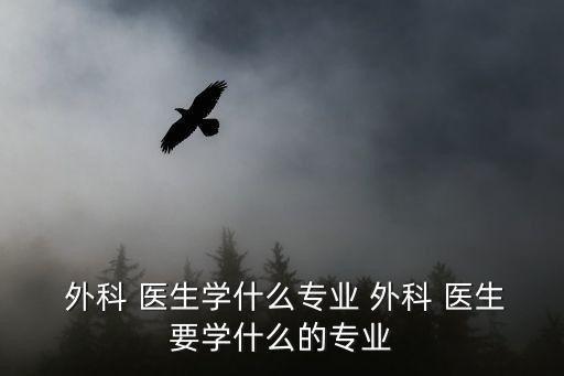 外科醫生,外籍醫生須具備基本計算機操作和熟練醫療護理