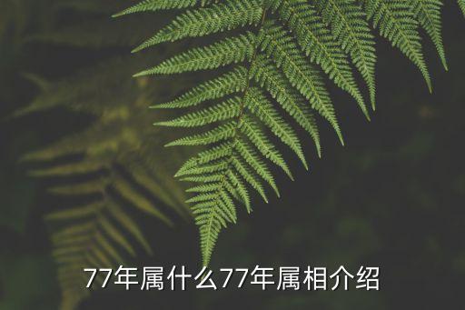 77年屬什么生肖,六十甲子:鼠與豬碰撞生肖蛇屬沙中中土