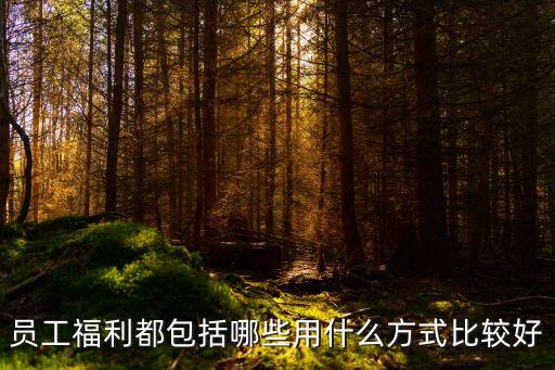 員工福利都包括哪些用什么方式比較好