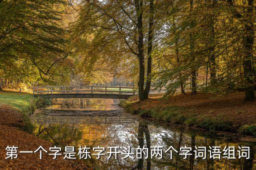第一個(gè)字是棟字開(kāi)頭的兩個(gè)字詞語(yǔ)組詞