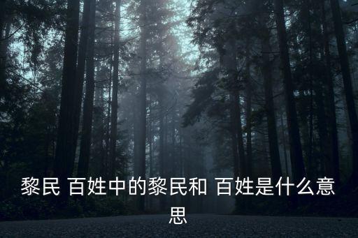 黎民 百姓中的黎民和 百姓是什么意思