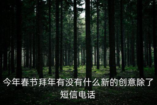 網絡拜年，今年春節拜年有沒有什么新的創意除了短信電話