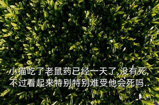 小貓吃了老鼠藥已經一天了,沒有死,不過看起來特別特別難受他會死嗎...