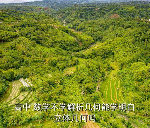 高中數學立體幾何,學立體幾何不用解析幾何也可學透明幾何