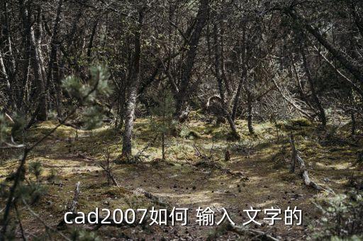  cad2007如何 輸入 文字的