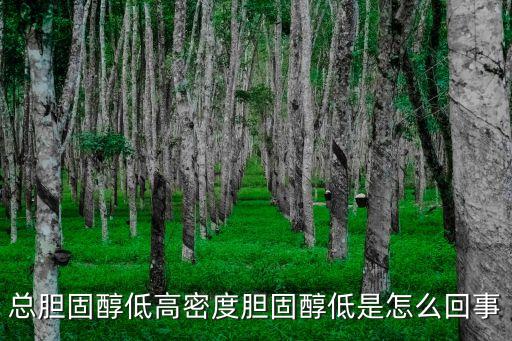 總膽固醇低高密度膽固醇低是怎么回事
