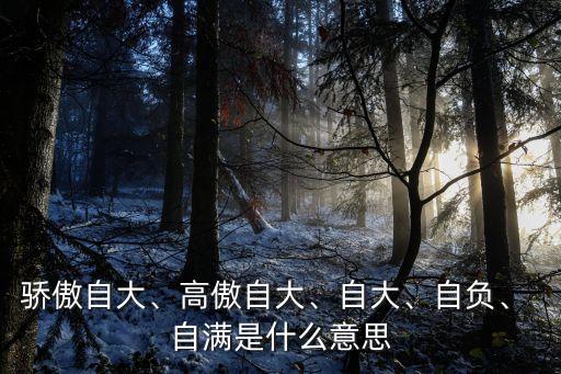 自滿的意思,自我x系列詞:謙虛好學、羞于請教的人自傲自滿