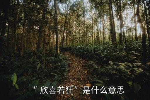 欣喜若狂什么意思,第二集】第一集:欣喜若狂之狂