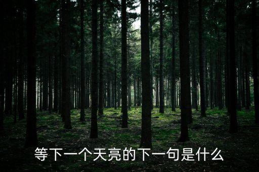 等下一個天亮的下一句是什么