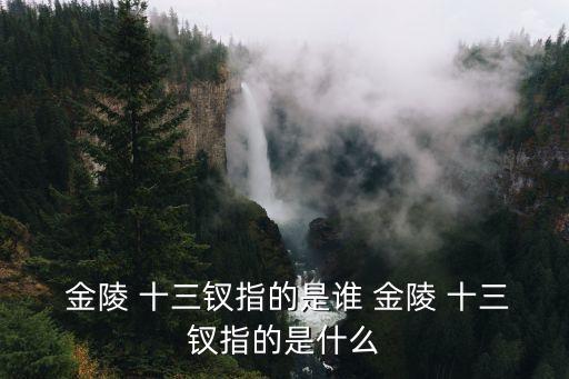  金陵 十三釵指的是誰 金陵 十三釵指的是什么