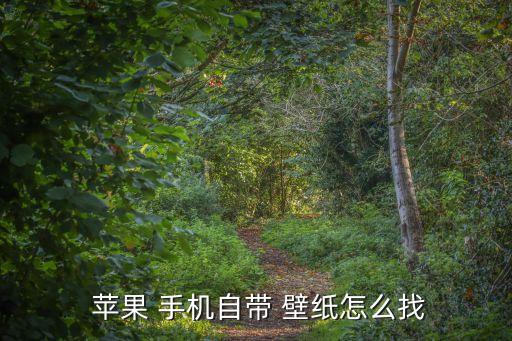  蘋果 手機自帶 壁紙怎么找