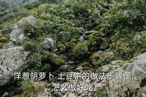  洋蔥胡蘿卜 土豆餅的做法步驟圖,怎么做好吃