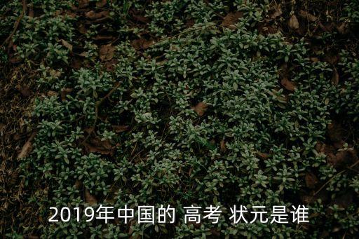 2019年中國的 高考 狀元是誰