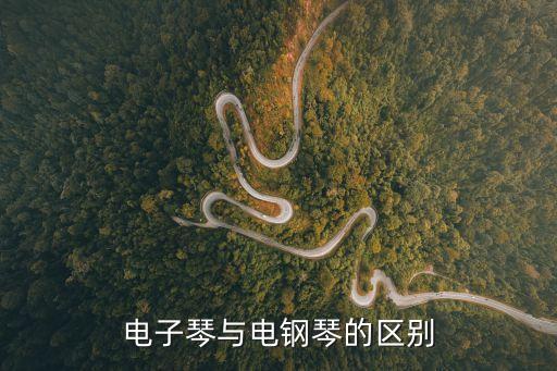 電子琴與電鋼琴的區別