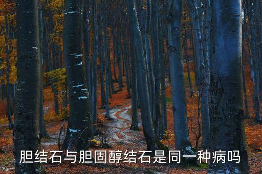 膽結石與膽固醇結石是同一種病嗎