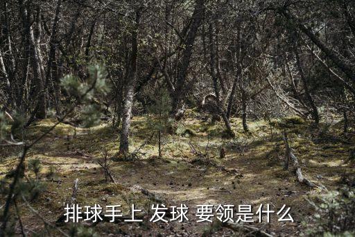 排球發(fā)球動作要領(lǐng),我是排球運動員我是傳球教練