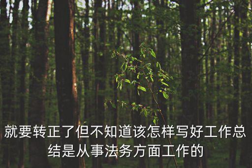 法務(wù)工作總結(jié)，就要轉(zhuǎn)正了但不知道該怎樣寫好工作總結(jié)是從事法務(wù)方面工作的