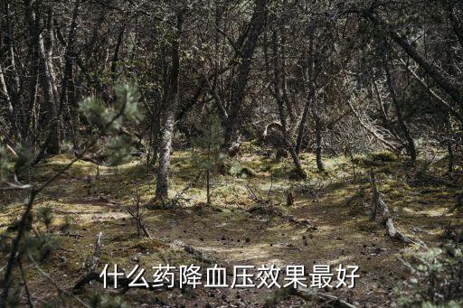 什么藥降血壓效果最好