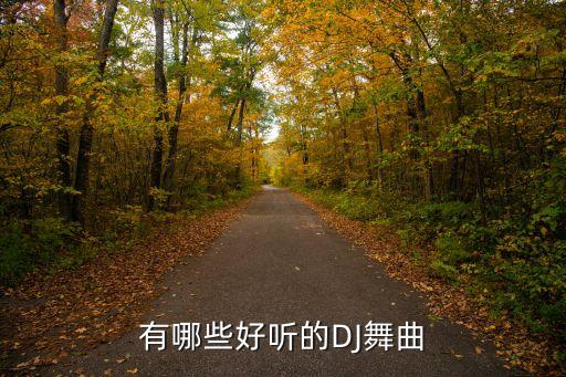 熱門dj舞曲大全，誰知道流行的DJ舞曲啊