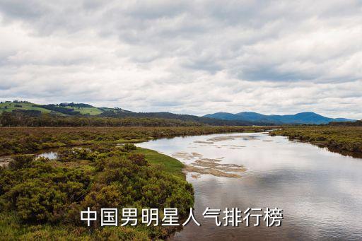 中國男明星人氣排行榜