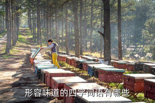 形容味道的四字詞語有哪些