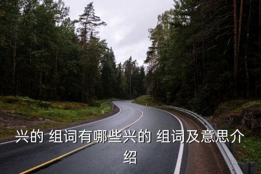 興字組詞,第二集:選票結果出爐了什么都沒得選?