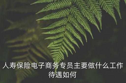 人壽保險電子商務專員主要做什么工作待遇如何