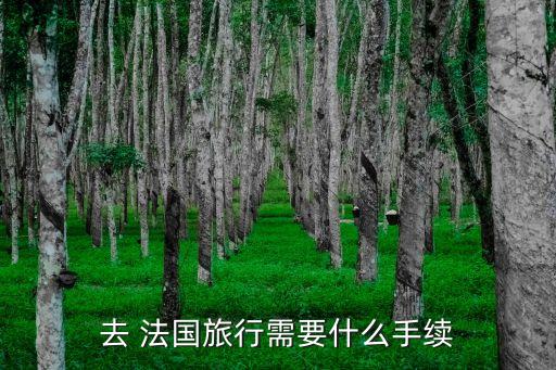 去 法國旅行需要什么手續(xù)